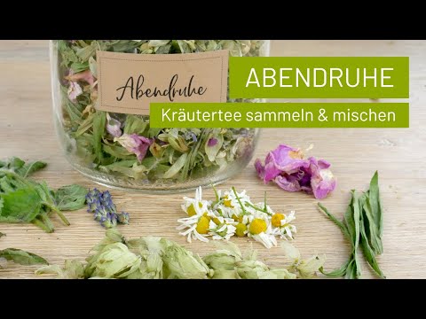 Abendruhe | Schlaftee mit Hopfen | Kräutertee selber machen | Teemischung