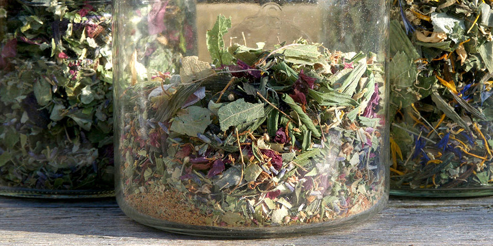 Kräutertee selber zusammenstellen | Wildkräuter für Tee sammeln