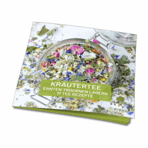 Teerezepte E-Book Teemischungen