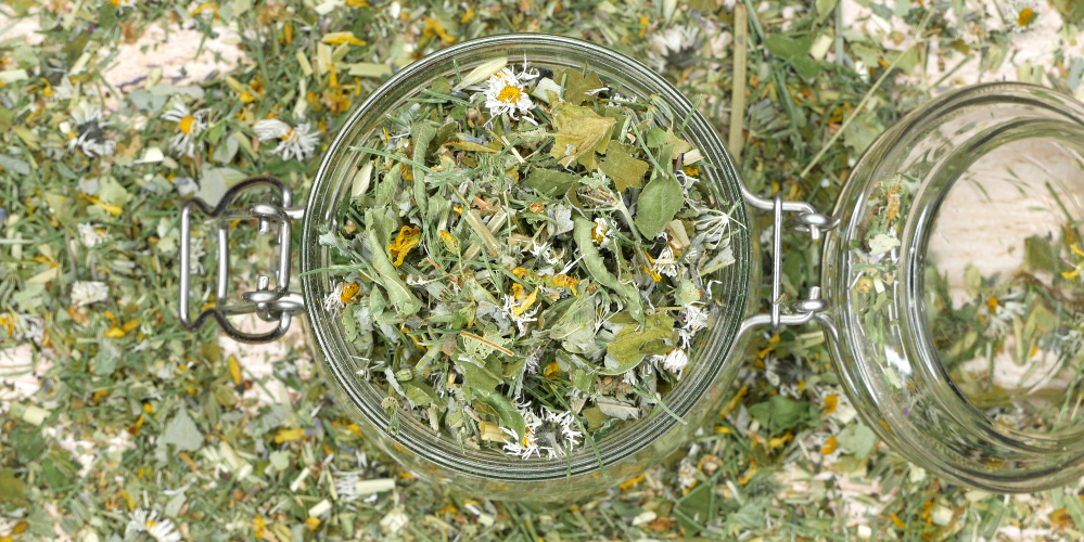 UnkrautLiebe Teemischung | Kräutertee selbst machen