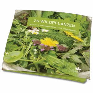 E-Book 25 Wildpflanzen [Digital]