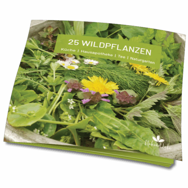 E-Book 25 Wildpflanzen [Digital]