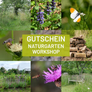 Workshop Naturgarten anlegen