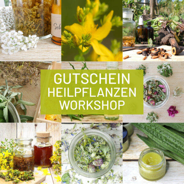 Gutschein Heilpflanzen Workshop