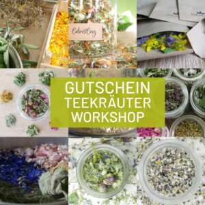 Gutschein Teekräuter Workshop