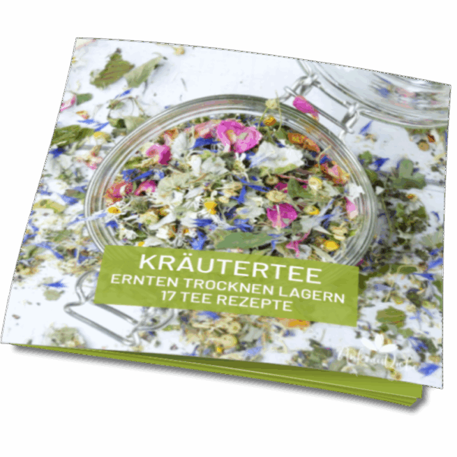 Teerezepte E-Book Teemischungen