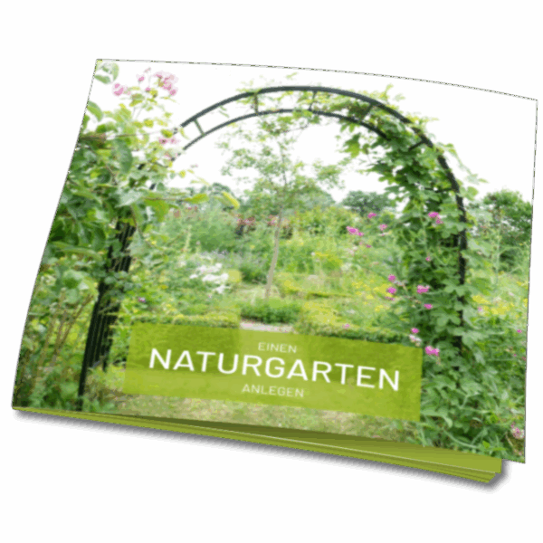E-Book Wildpflanzen-Garten anlegen [Digital]