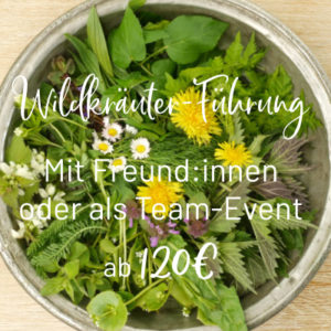 Wildkräuter-Führung mit der Gruppe