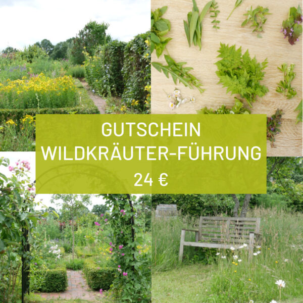 Führung und Rundgang Wildkräuter Gutschein