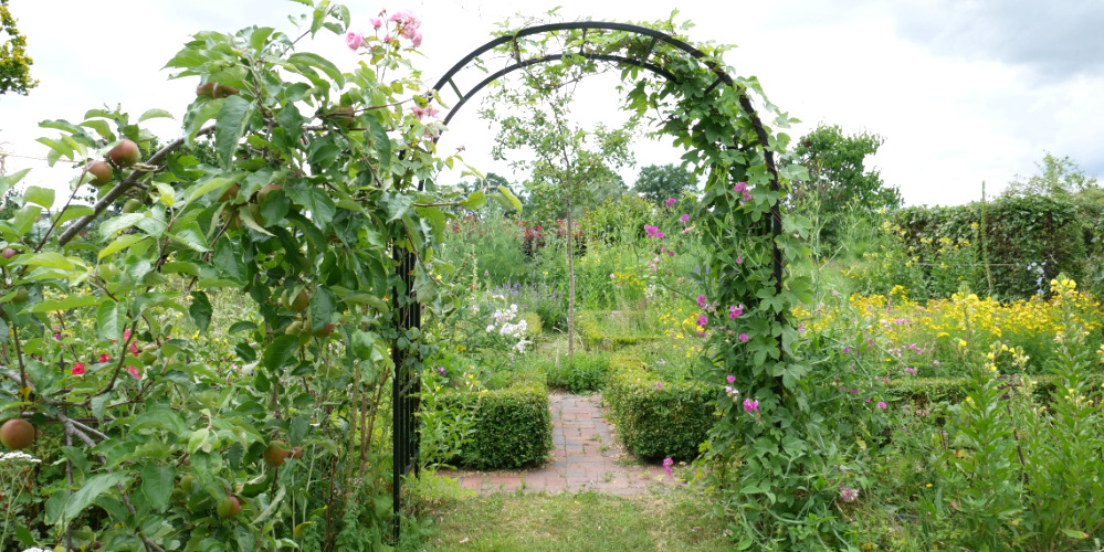 Naturgarten mit essbaren Wildpflanzen anlegen