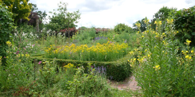 Naturgarten mit essbaren Wildpflanzen anlegen