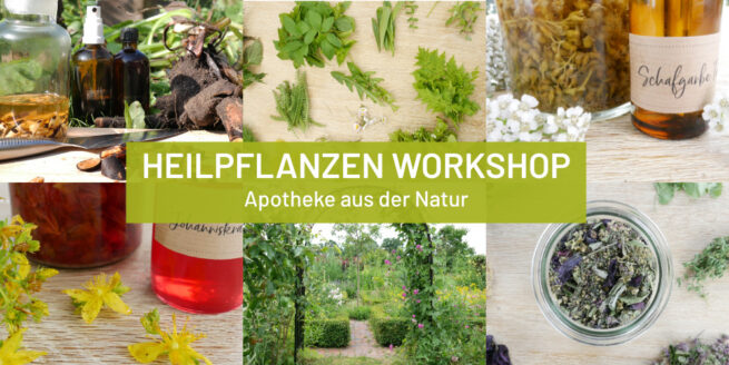 Heilpflanzen Workshop Apotheke der Natur