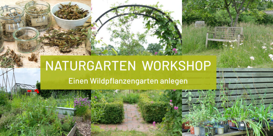 Naturgarten Workshop dein Garten mit Wildpflanzen