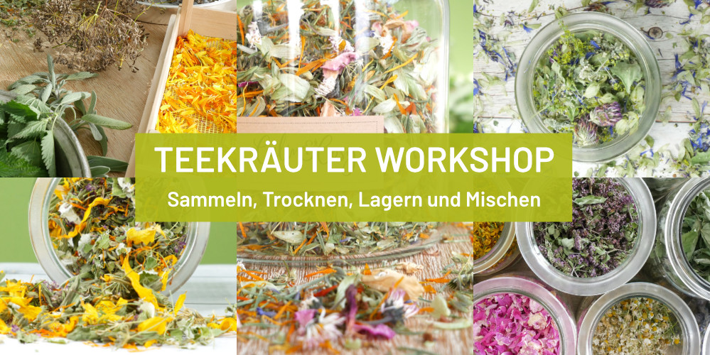 Teekräuter Workshop Teemischungen selber zusammenstellen