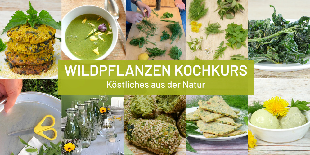 Kochkurs mit Wildpflanzen