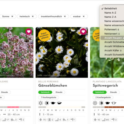 Startseite der Website mit Suchmaske und Filtermöglichkeiten