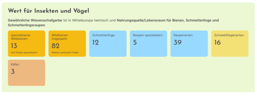 Wie hoch ist der ökologische Nutzen der Pflanze