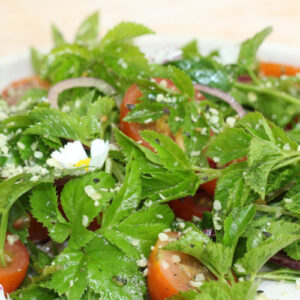 Giersch Salat mit Tomaten Hanfsamen und Gänseblümchen