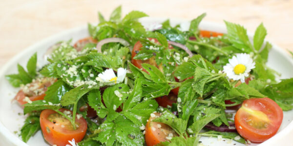 Giersch Salat mit Tomaten Hanfsamen und Gänseblümchen