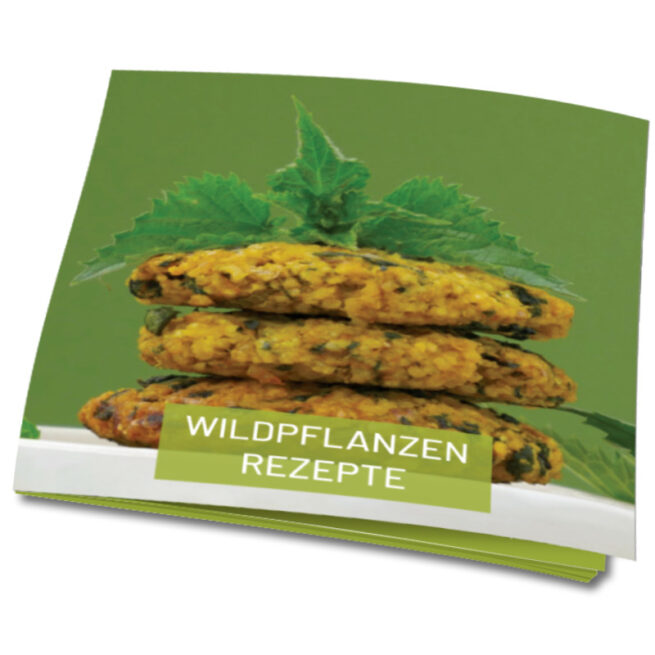E-Book Rezepte mit Wildpflanzen vegan