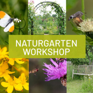 Gruppen Insektenfreundlicher Garten Workshop